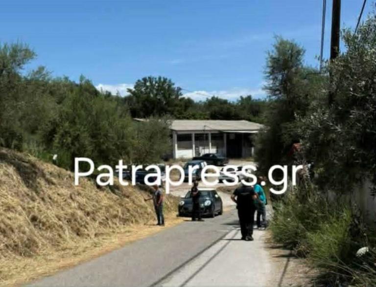 ΑΠΟΚΛΕΙΣΤΙΚΟ - Αχαΐα: Δεν είχε εκδώσει πότε νέα αστυνομική ταυτότητα ο Tζέιμς Δαλαμάγκας - Ποιοι κατηγορούνται για υπόθαλψη εγκληματία ΦΩΤΟ