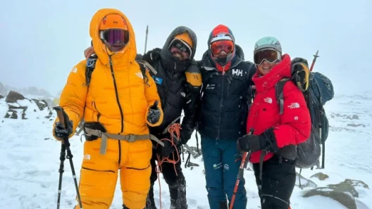 Η Τσακαλδήμη κατέκτησε την κορυφή του Ακονκάγκουα - Το ευχαριστώ στον Γρηγόρη Δημητριάδη ΦΩΤΟ