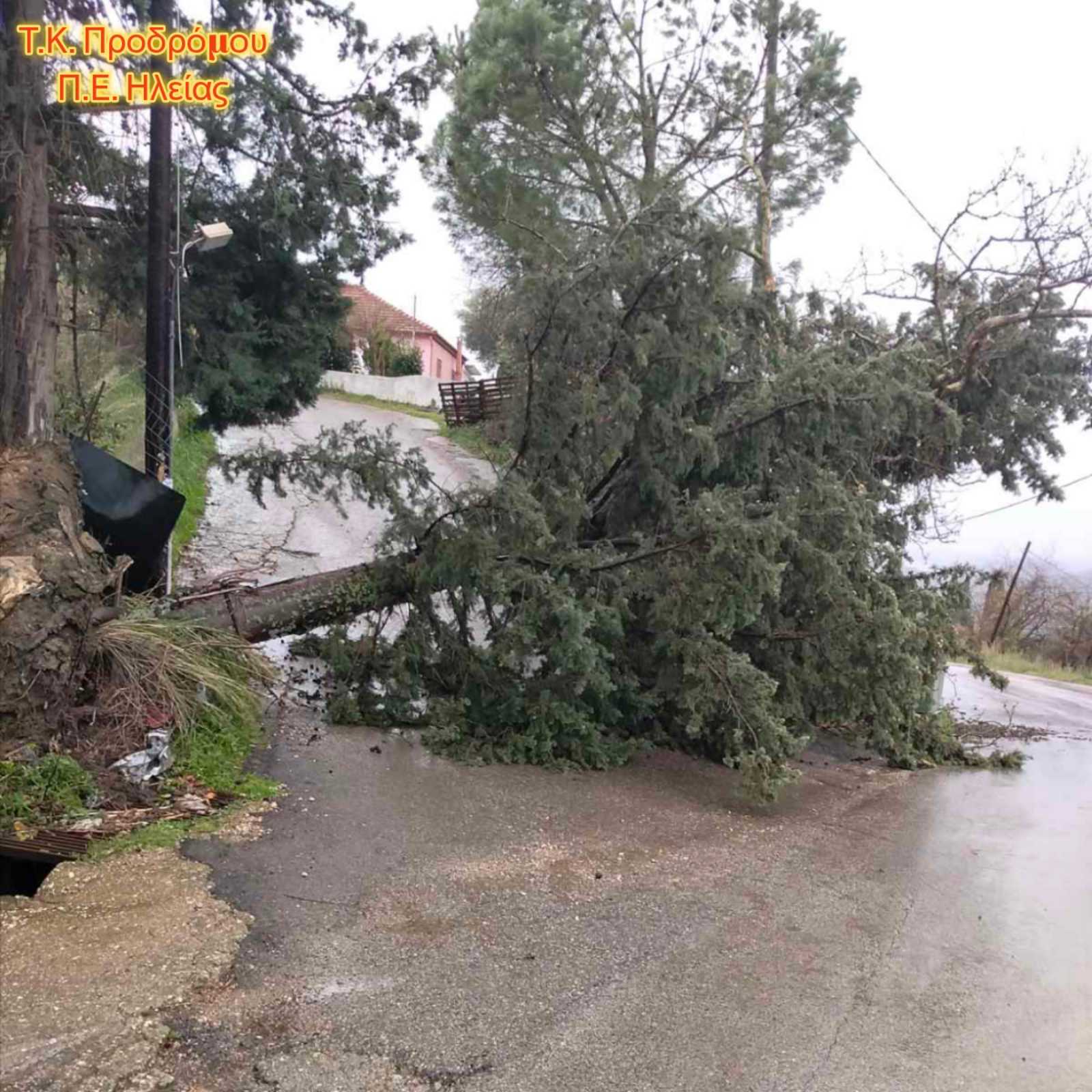 Δυτική Ελλάδα: Σε διαρκή κινητοποίηση μηχανήματα και ανθρώπινο δυναμικό για τον χιονιά ΦΩΤΟ