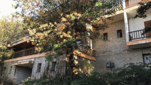 Καλέντζι: Στα αζήτητα, ούτε για 100€, το Περίπτερο του ΕΟΤ στο χωριό των Παπανδρέου