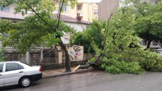 Πάτρα: Πτώσεις δέντρων και σκοτάδι λόγω των ισχυρών ανέμων