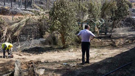 Πάτρα: Πτώση δέντρων από τον αέρα στο «Κωνσταντοπούλειο» Ευγηρείο ΦΩΤΟ