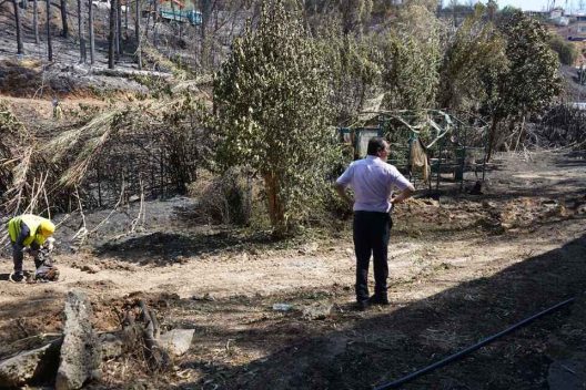 Πάτρα: Πτώση δέντρων από τον αέρα στο «Κωνσταντοπούλειο» Ευγηρείο ΦΩΤΟ