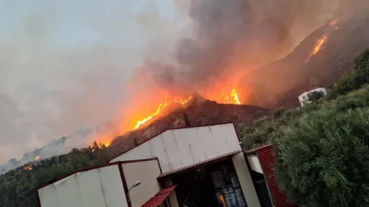 Aχαΐα: Στο Υπουργείο τα στοιχεία δικαιούχων αποζημιώσεων από τις πυρκαγιές του Αυγούστου