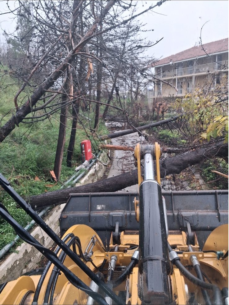Πάτρα: Πτώση δέντρων από τον αέρα στο «Κωνσταντοπούλειο» Ευγηρείο ΦΩΤΟ