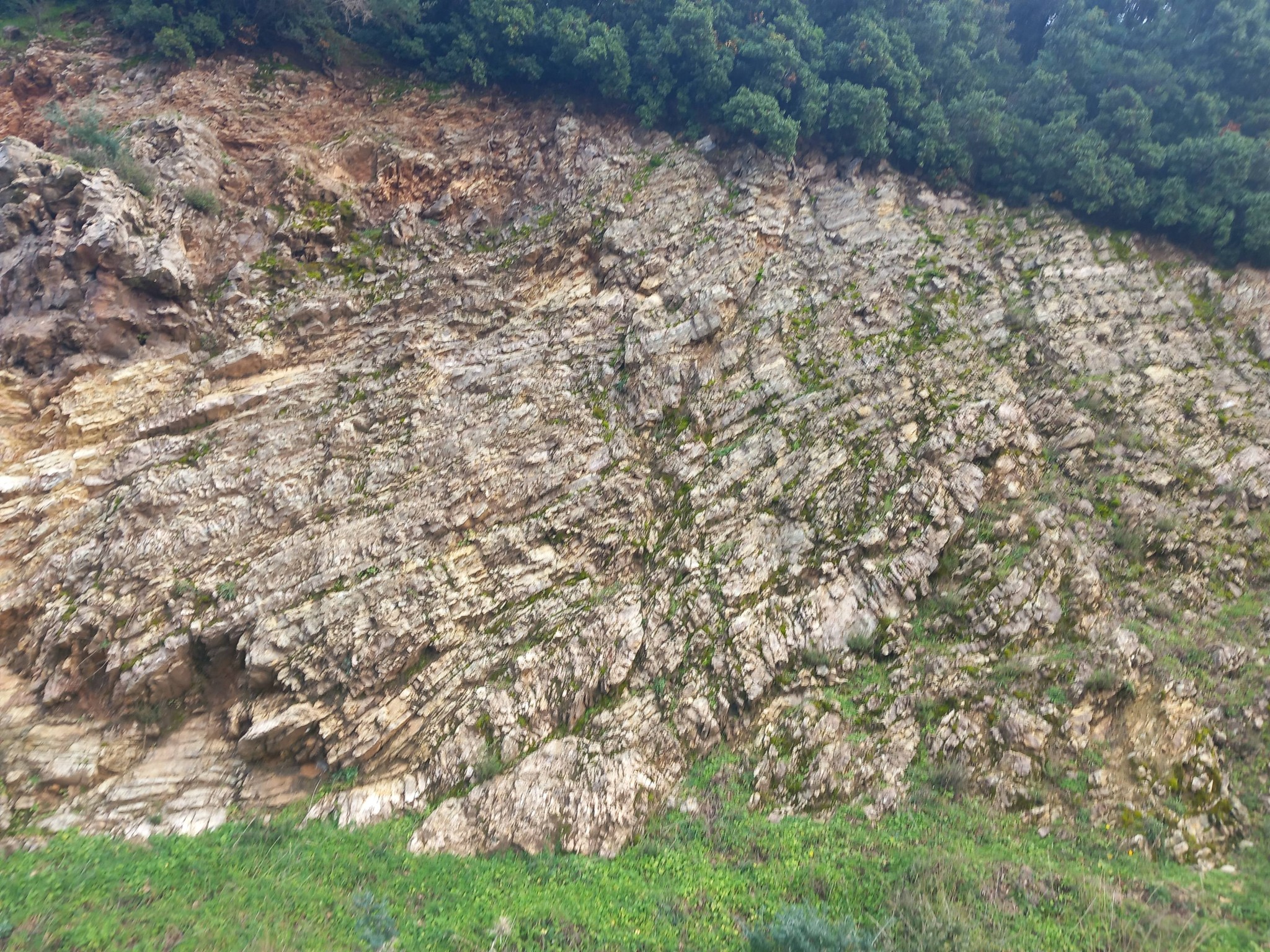 Καταρράκτης Αχαΐας: Νεαρός «γεωλόγος» συλλέγει «πλούτο» από πετρώματα με κρυστάλλους ΦΩΤΟ 31 Καταρράκτης Αχαΐας: Νεαρός «γεωλόγος» συλλέγει «πλούτο» από πετρώματα με κρυστάλλους ΦΩΤΟ