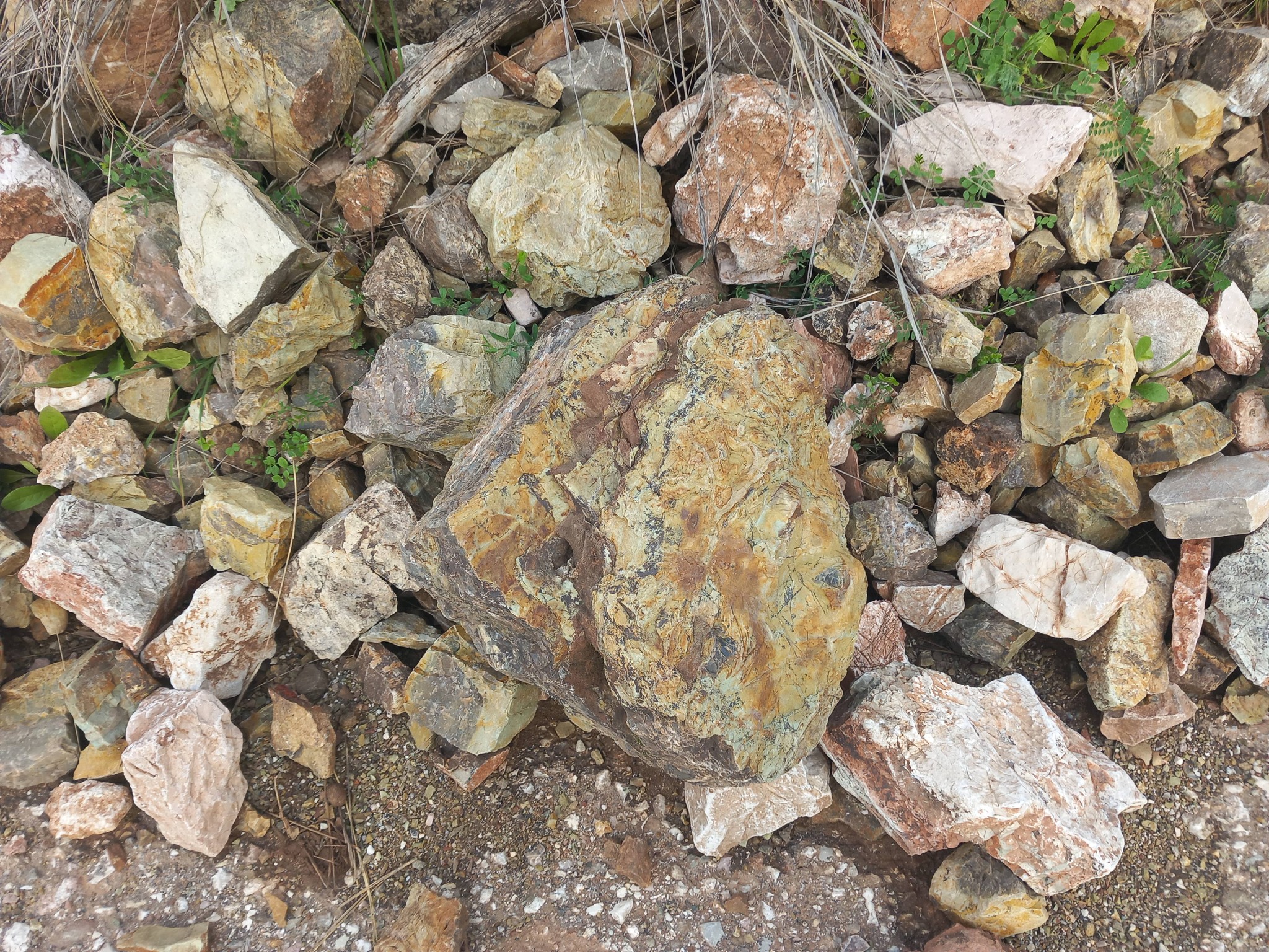 Καταρράκτης Αχαΐας: Νεαρός «γεωλόγος» συλλέγει «πλούτο» από πετρώματα με κρυστάλλους ΦΩΤΟ