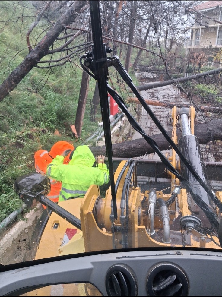 Πάτρα: Πτώση δέντρων από τον αέρα στο «Κωνσταντοπούλειο» Ευγηρείο ΦΩΤΟ