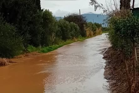 Δυτική Αχαΐα: Νέα πλημμύρα στην Ωλενία και διαμαρτυρίες κατοίκων ΦΩΤΟ