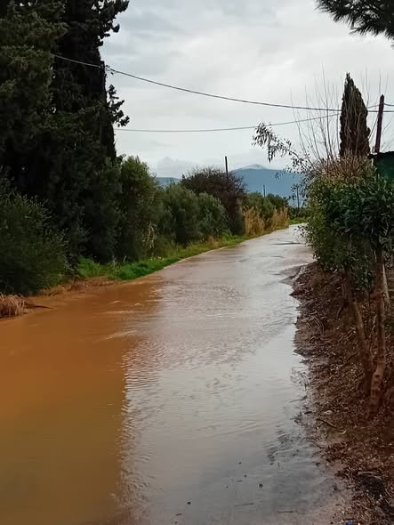 Δυτική Αχαΐα: Νέα πλημμύρα στην Ωλενία και διαμαρτυρίες κατοίκων ΦΩΤΟ
