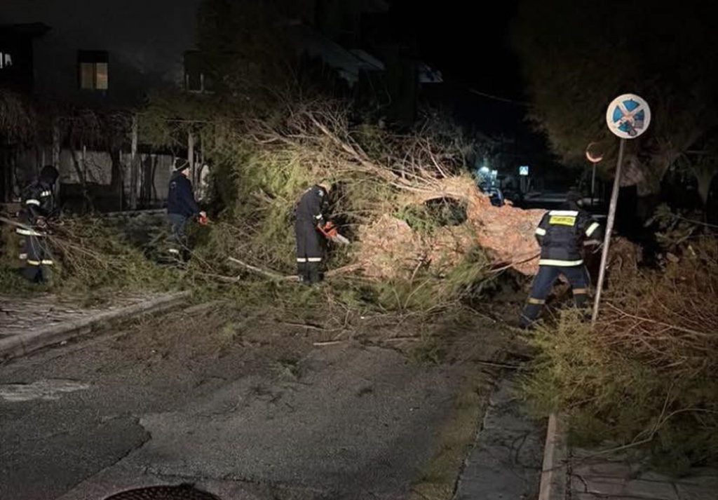 Αχαΐα: Οι άνεμοι «σαρώνουν» - Πάνω από 100 περιστατικά πτώσης δέντρων - Οι περιοχές που χτύπησε η κακοκαιρία ΦΩΤΟ