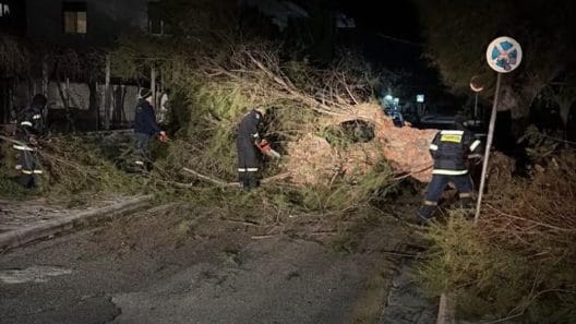 Αχαΐα: Οι άνεμοι «σαρώνουν» - Πάνω από 100 περιστατικά πτώσης δέντρων - Οι περιοχές που χτύπησε η κακοκαιρία ΦΩΤΟ