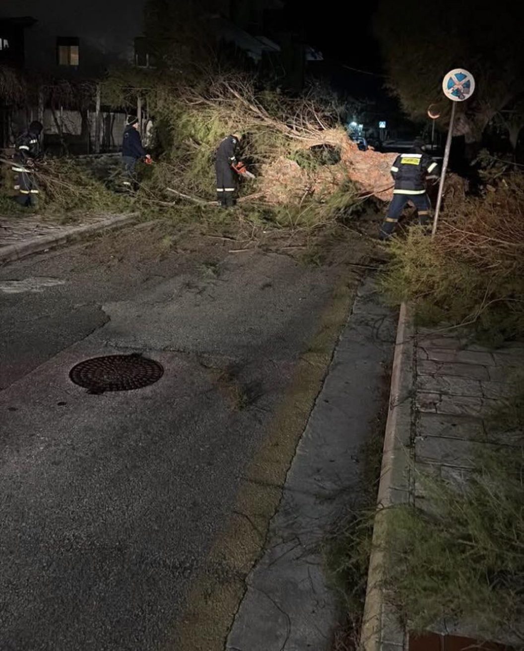 Αχαΐα: Οι άνεμοι «σαρώνουν» - Πάνω από 100 περιστατικά πτώσης δέντρων - Οι περιοχές που χτύπησε η κακοκαιρία ΦΩΤΟ