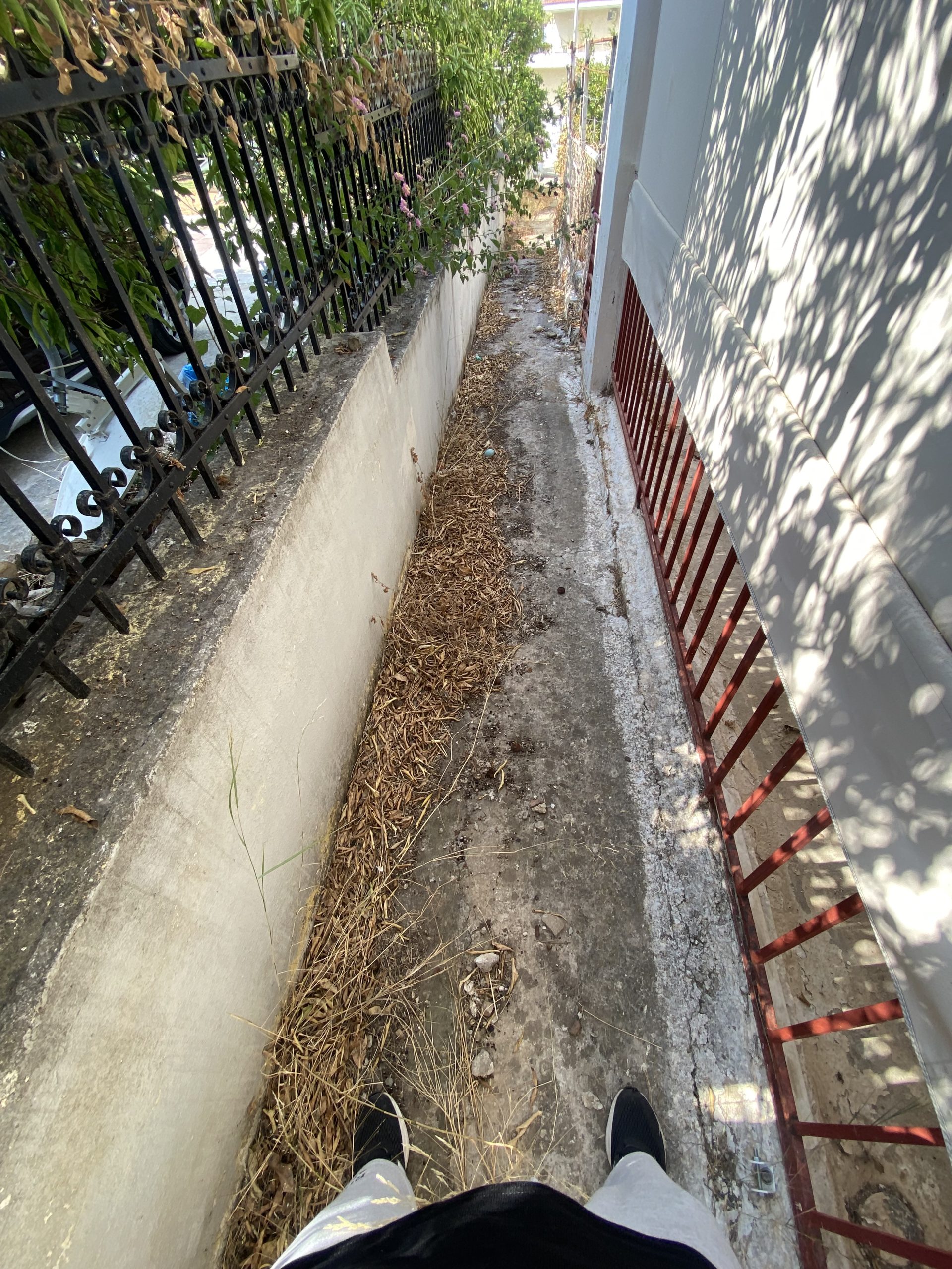 Πάτρα: «Φυλακισμένο» ΑΜΕΑ στο ίδιο του το σπίτι - Εισαγγελική παραγγελία για έλεγχο της υπόθεσης 25 Πάτρα: «Φυλακισμένο» ΑΜΕΑ στο ίδιο του το σπίτι - Εισαγγελική παραγγελία για έλεγχο της υπόθεσης