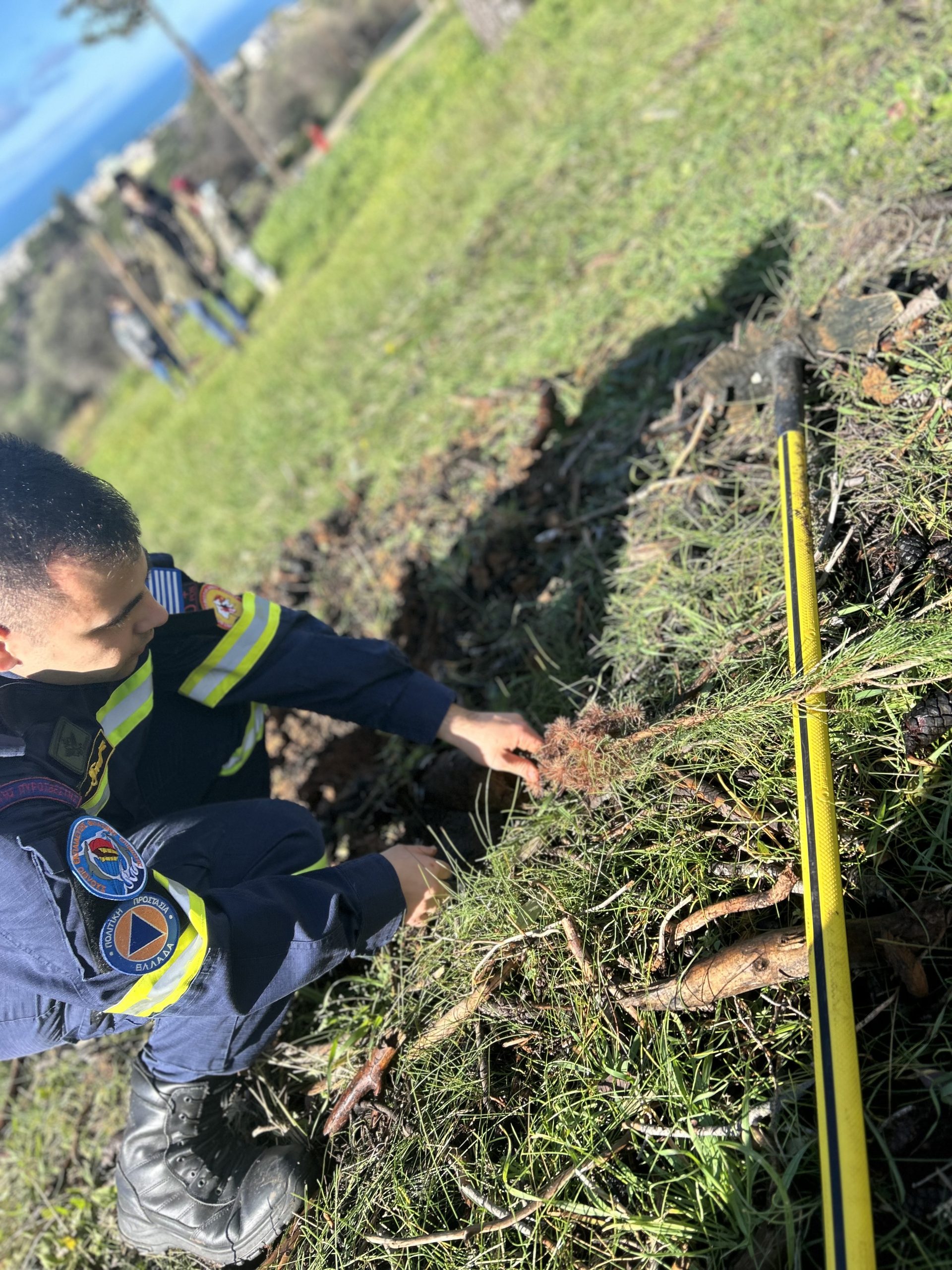 Δενδροφύτευση των Εθελοντών Πυροσβεστών στο Γηροκομειό Πατρών ΦΩΤΟ