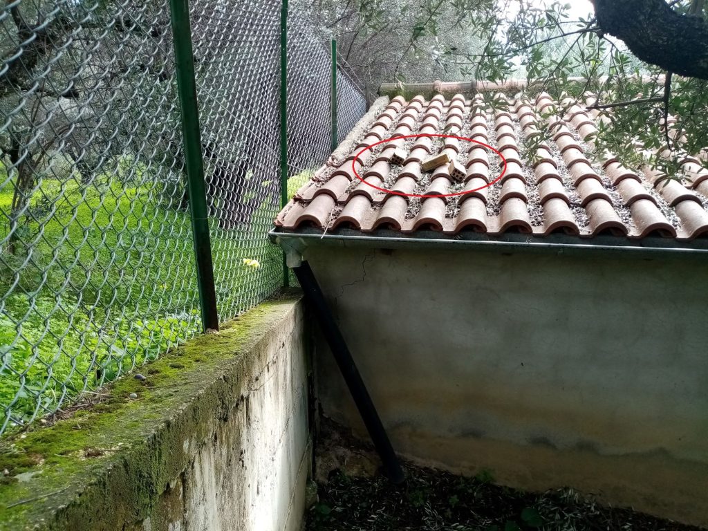 ΚΛΟΠΕΣ ΡΩΜΑΝΟΥ