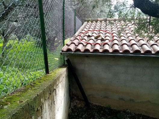 ΚΛΟΠΕΣ ΡΩΜΑΝΟΥ