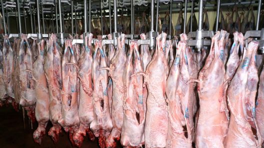 ΑΠΟΚΛΕΙΣΤΙΚΟ-AXAΪA: Στον Εισαγγελέα υποθέσεις παραποιημένων εγγράφων ανεξέλεγκτων προβάτων, σε Σφαγεία, εν μέσω ευλογιάς!