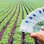 Πληρώνονται οι αγρότες: 617,5 εκατ. ευρώ σε 529.494 δικαιούχους ενισχύσεων