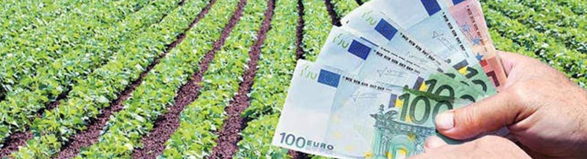 Πληρώνονται οι αγρότες: 617,5 εκατ. ευρώ σε 529.494 δικαιούχους ενισχύσεων