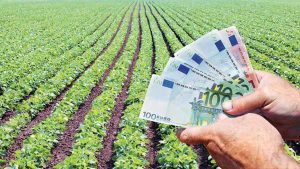 Πληρώνονται οι αγρότες: 617,5 εκατ. ευρώ σε 529.494 δικαιούχους ενισχύσεων