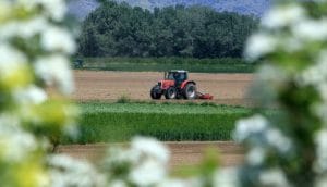 Αγροτικές επιδοτήσεις: Σε λειτουργία η πλατφόρμα για τις ευρωπαϊκές ενισχύσεις