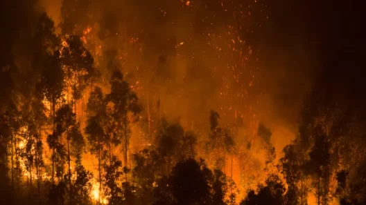Xιλή: Πολλοί νεκροί και ολόκληρες πόλεις «στάχτη» από φονικές πυρκαγιές