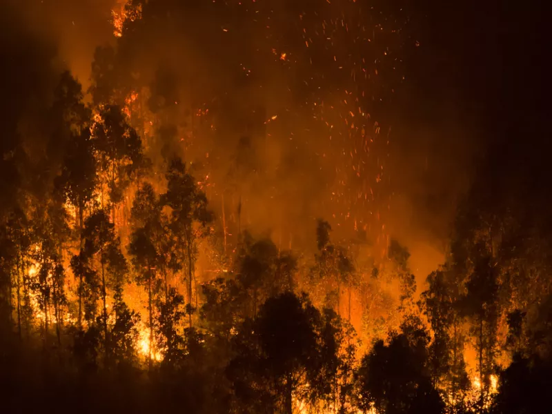 Xιλή: Πολλοί νεκροί και ολόκληρες πόλεις «στάχτη» από φονικές πυρκαγιές 31 Xιλή: Πολλοί νεκροί και ολόκληρες πόλεις «στάχτη» από φονικές πυρκαγιές