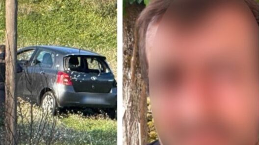Ο καθ΄ομολογία δράστης παραδόθηκε στην Αστυνομία