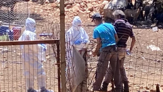 Αχαΐα: Το ένα κρούσμα ευλογιάς που «τρελαίνει» και τρομάζει τις Κτηνιατρικές Αρχές