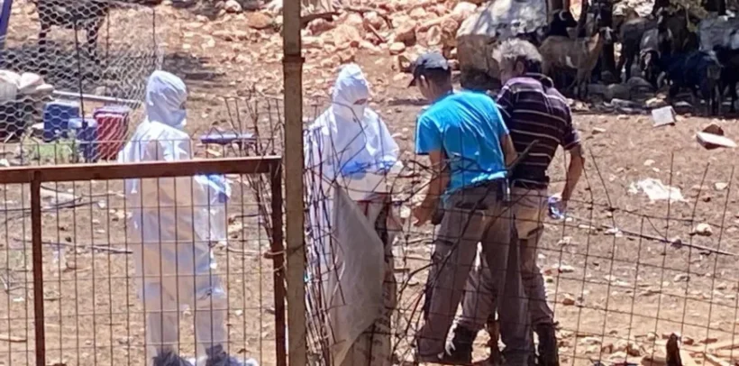 Αχαΐα: Το ένα κρούσμα ευλογιάς που «τρελαίνει» και τρομάζει τις Κτηνιατρικές Αρχές