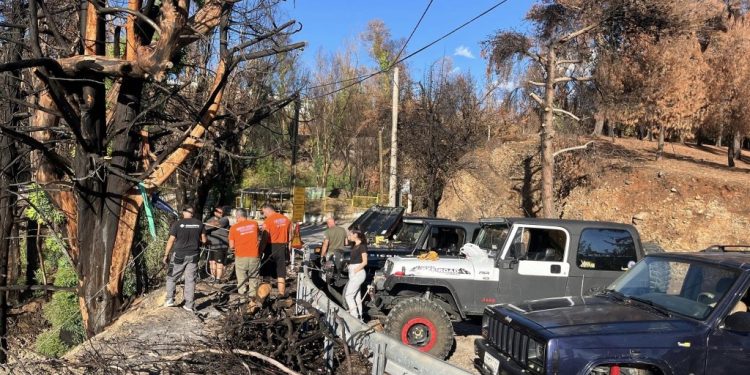 Πάτρα: Ξεκινά δενδροφύτευση στο Γηροκομειό για τα καμένα του 2024