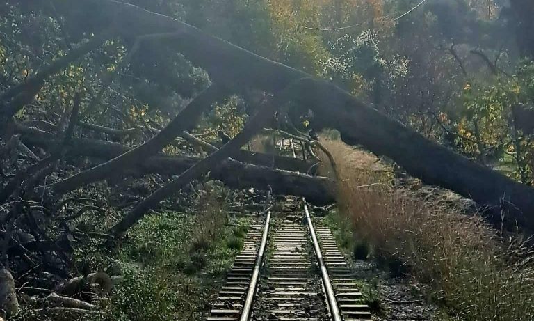 Διακοπτό-Καλάβρυτα: Τα καιρικά φαινόμενα «φρέναραν» πάλι τον Οδοντωτό 28 Διακοπτό-Καλάβρυτα: Τα καιρικά φαινόμενα «φρέναραν» πάλι τον Οδοντωτό
