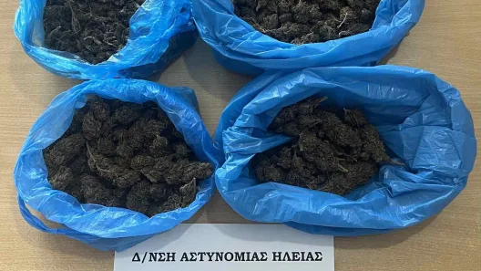 Αμαλιάδα: Μισό κιλό κάνναβης και διακινητής ναρκωτικών στα χέρια της Αστυνομίας ΦΩΤΟ