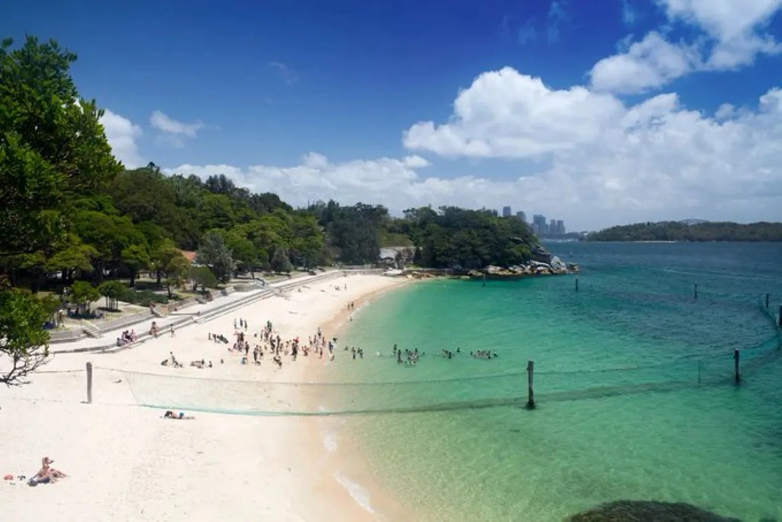 Σίδνεϊ: Χαροπαλεύει 12χρονος, του επιτέθηκε καρχαρίας