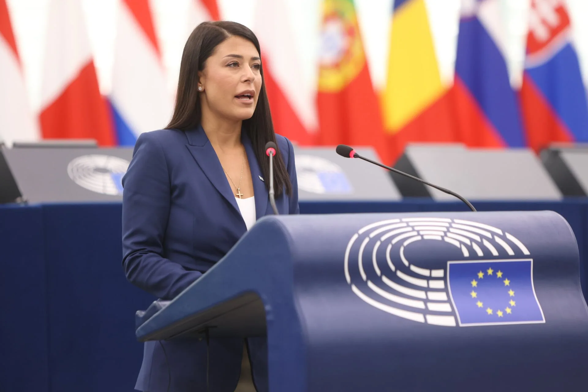 Γιατί η Λατινοπούλου ζήτησε από το Ευρωκοινοβούλιο την άρση ασυλίας της 28 Γιατί η Λατινοπούλου ζήτησε από το Ευρωκοινοβούλιο την άρση ασυλίας της