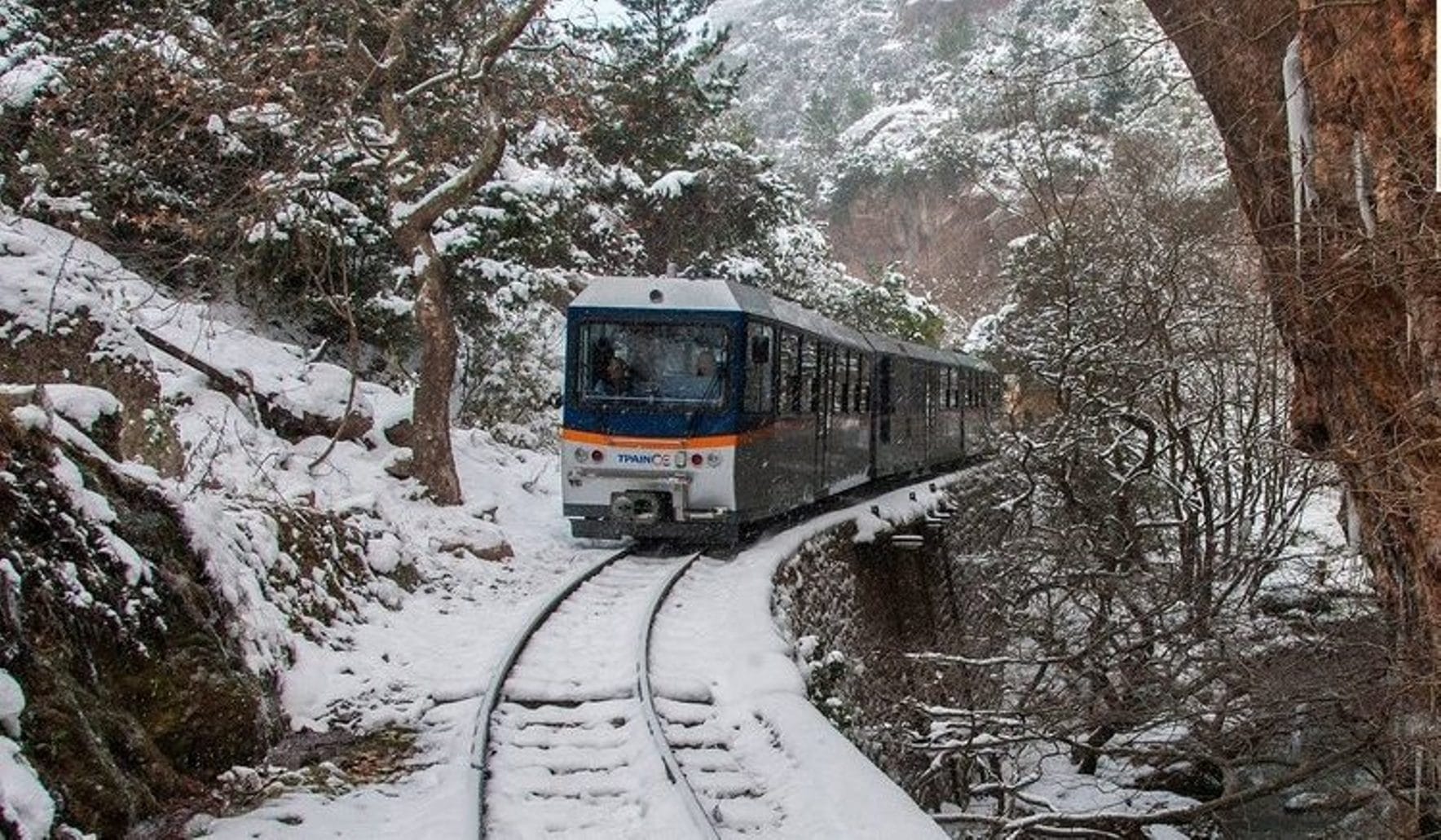 Αχαΐα: Αναστολή δρομολογιών του Οδοντωτού λόγω…δένδρου