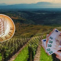 ΟΠΕΚΕΠΕ: Έγκλειστος σε φυλακή εξέδωσε πλαστά τιμολόγια και πήρε παράνομες ενισχύσεις