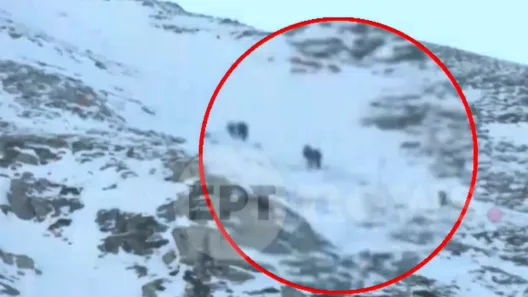 Πώς συνέβη το ατύχημα στον Ταΰγετο με τους ορειβάτες, οι πρώτες ΦΩΤΟ από την επιχείρηση διάσωσης ΝΕΟΤΕΡΑ