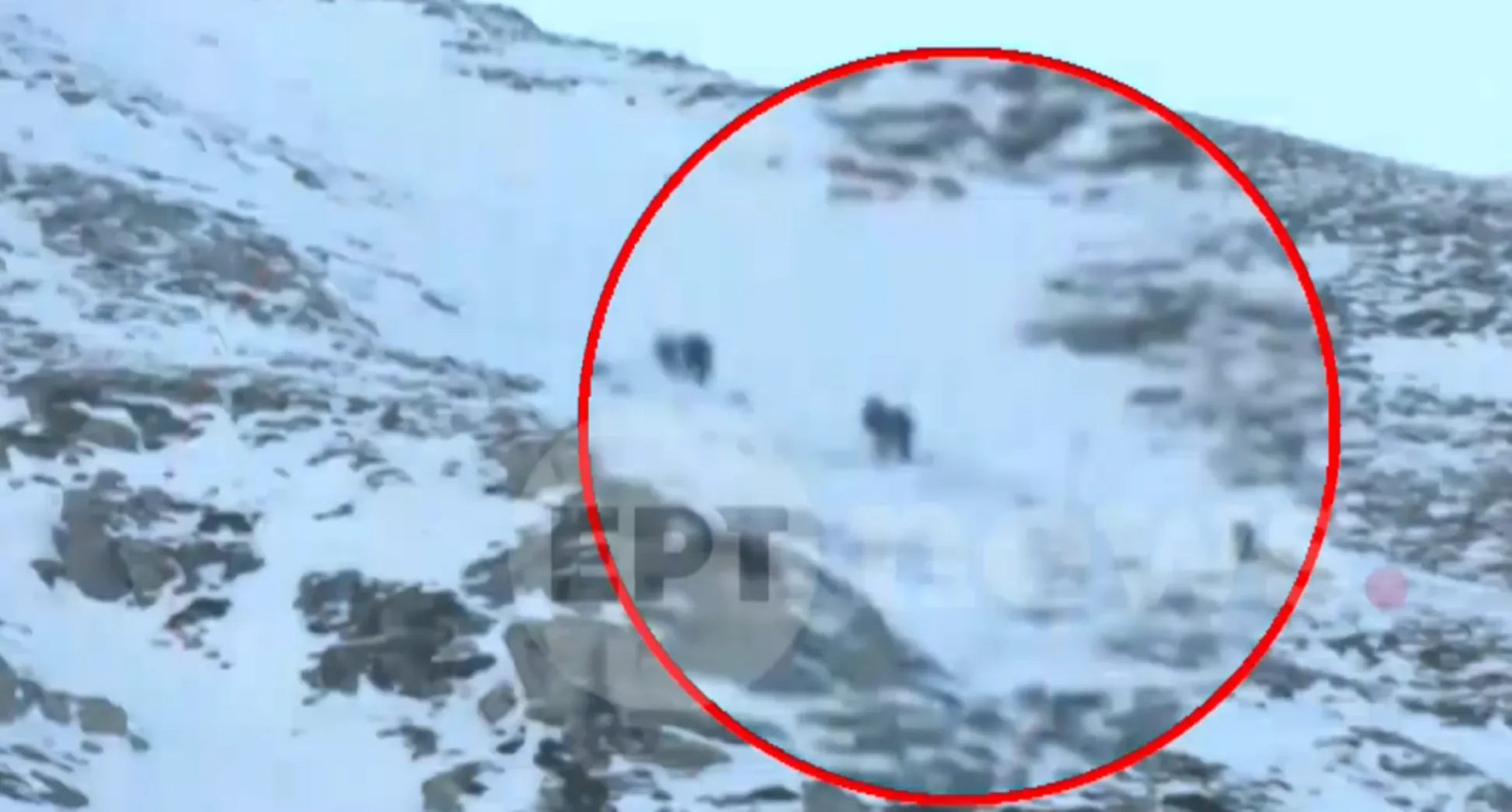 Πώς συνέβη το ατύχημα στον Ταΰγετο με τους ορειβάτες, οι πρώτες ΦΩΤΟ από την επιχείρηση διάσωσης ΝΕΟΤΕΡΑ