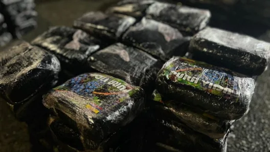 Παναμάς: Περισσότεροι από 5 τόνοι ναρκωτικών στα χέρια της Αστυνομίας ΦΩΤΟ