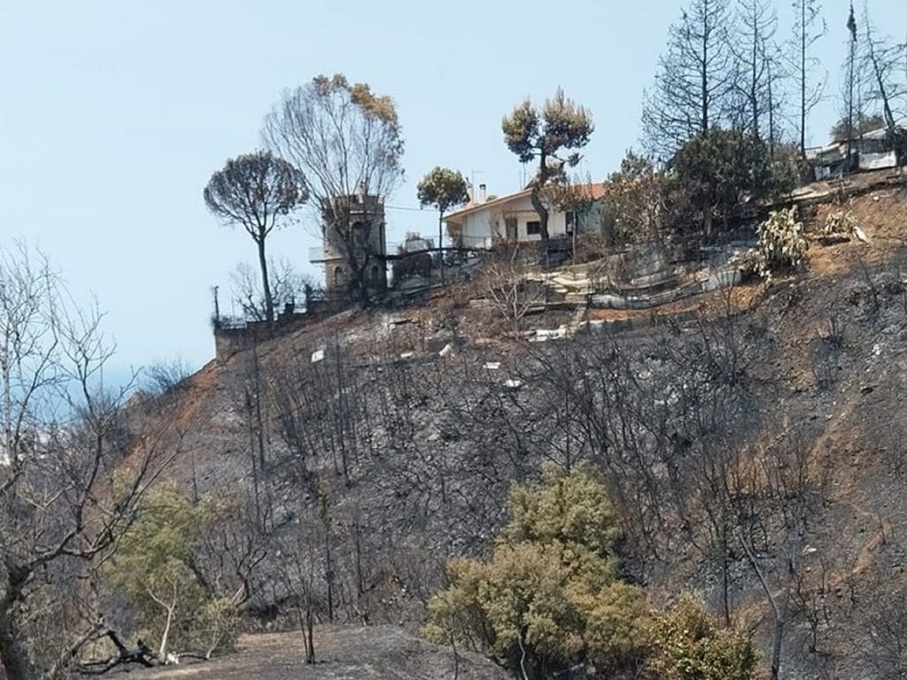 ΑΠΟΚΑΛΥΠΤΙΚΟ-Πάτρα: Ερχονται κατεδαφίσεις αυθαιρέτων στο Γηροκομειό - Στον Εισαγγελέα καραμπινάτες παρανομίες που αποκαλύφθηκαν μετά τη φωτιά ΦΩΤΟ