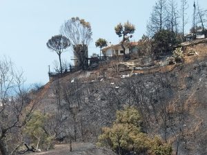 ΑΠΟΚΑΛΥΠΤΙΚΟ-Πάτρα: Ερχονται κατεδαφίσεις αυθαιρέτων στο Γηροκομειό - Στον Εισαγγελέα καραμπινάτες παρανομίες που αποκαλύφθηκαν μετά τη φωτιά ΦΩΤΟ