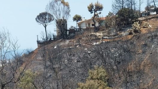 ΑΠΟΚΑΛΥΠΤΙΚΟ-ΠΑΤΡΑ: Ερχονται κατεδαφίσεις αυθαιρέτων στο Γηροκομειό - Στον Εισαγγελέα καραμπινάτες παρανομίες που αποκαλύφθηκαν μετά τη φωτιά ΦΩΤΟ
