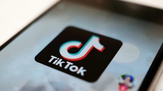 Ερευνα για το TikTok ξεκινά στην Καλιφόρνια