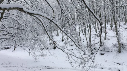 ΕΜΥ: Εκτακτο δελτίο επικίνδυνων καιρικών φαινομένων, που θα «χτυπήσουν»