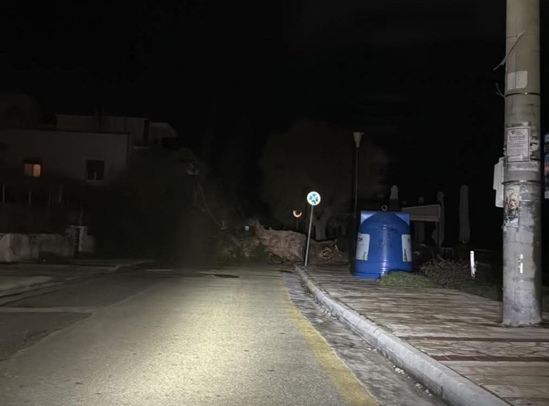 Αχαΐα: Οι άνεμοι «σαρώνουν» - Πάνω από 100 περιστατικά πτώσης δέντρων - Οι περιοχές που χτύπησε η κακοκαιρία ΦΩΤΟ