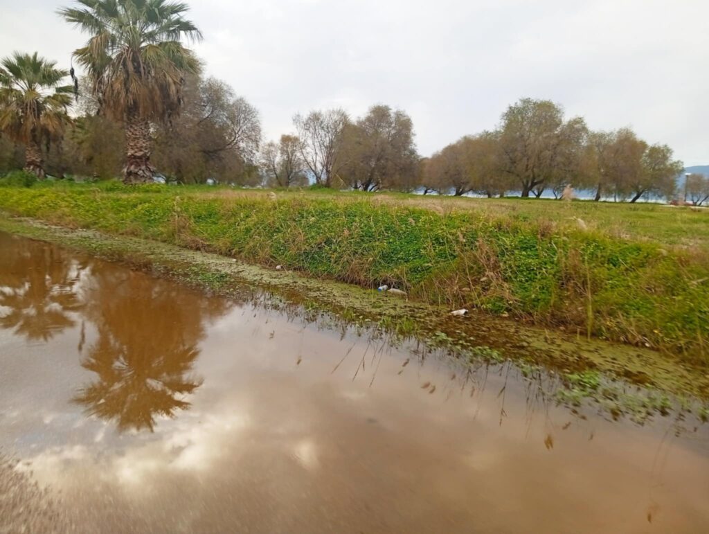 Αιγιάλεια: Πλημμύρισαν δρόμοι και κτήματα - Σε Ακολη και Πλάτανο 28 Αιγιάλεια: Πλημμύρισαν δρόμοι και κτήματα - Σε Ακολη και Πλάτανο