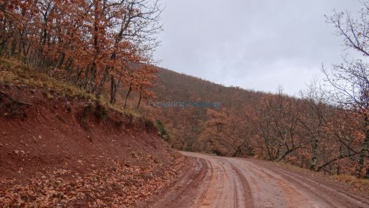Καλάβρυτα: Αξιοποίηση του Δάσους Κάνισκας μετά από πολλά χρόνια ΦΩΤΟ