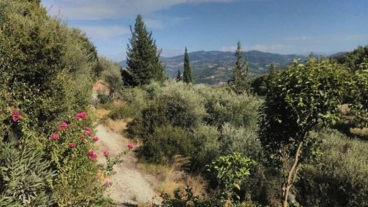 Δυτική Αχαΐα: Μια τρύπα σε δρόμο, εμπόδιο σε αγρότες ΦΩΤΟ